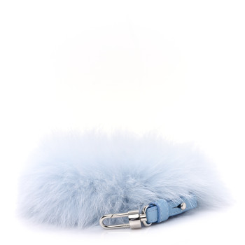 DELVAUX Mink Fur Calfskin Strap Skyway