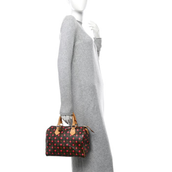 LOUIS VUITTON Monogram Cerises Speedy 25 LOUIS VUITTON Monogram Cerises Speedy 25