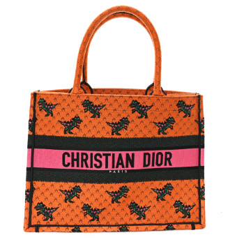 CHRISTIAN DIOR Canvas Embroidered Medium Dino Book Tote Orange Multicolor