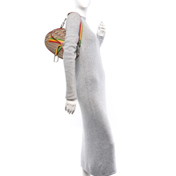 CHRISTIAN DIOR Monogram Rasta Saddle Bag Beige