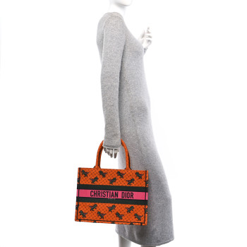CHRISTIAN DIOR Canvas Embroidered Medium Dino Book Tote Orange Multicolor